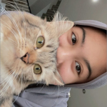 resti