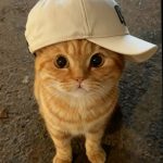 Tama
